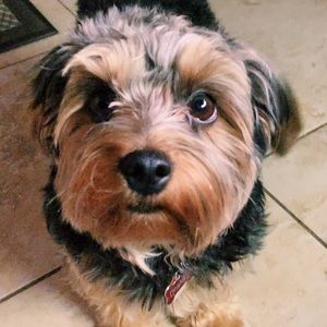 Meet your Posher, Alex